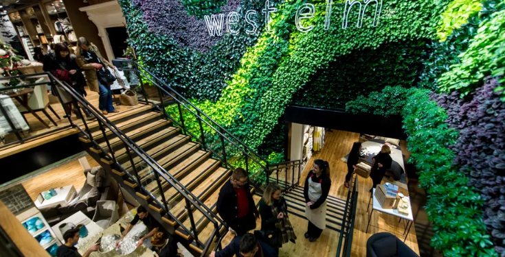 General view of the interior during the West Elm London grand opening party. Ian Gavan/Getty Images for West Elm